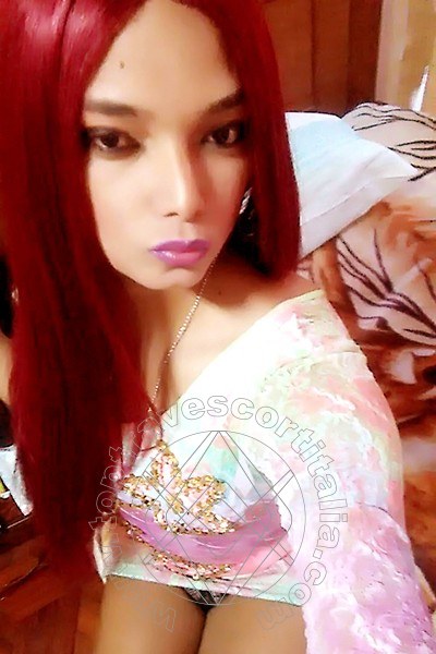 Foto selfie 24 di Ariadna travescort Málaga