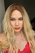 Foto selfie 1 di Tania Xl travescort Zagabria